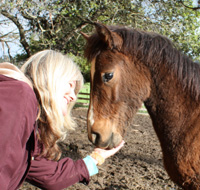 Janet Ferraro with foal Janet Ferraro with foal