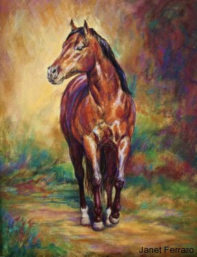 Ima Cockadoodle Dude Ima Cockadoodle Dude