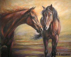 Nifty Dream Nifty Dream