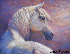 Devin's Dream Devin's Dream