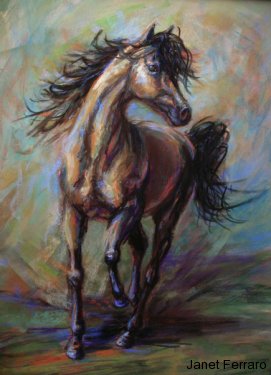 Elegant Equine Elegant Equine