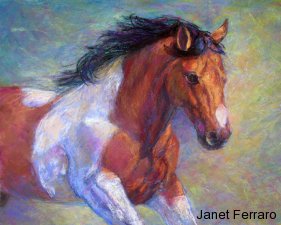 Pinto To Go Pinto To Go