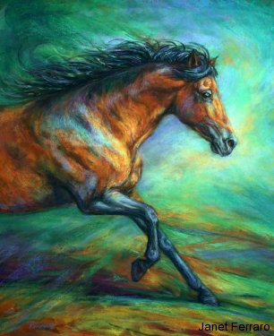 Spanish Bay Spanish Bay