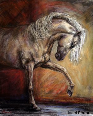 Champagne Dancer Champagne Dancer