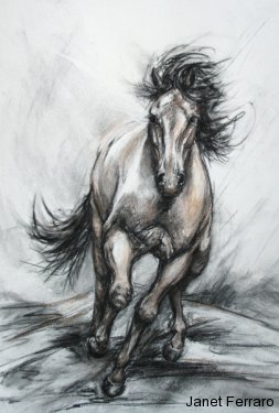 Galloping Steed Galloping Steed