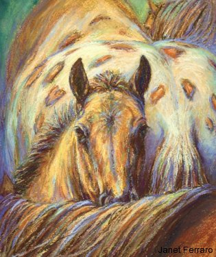 Heart Of The Herd Heart Of The Herd