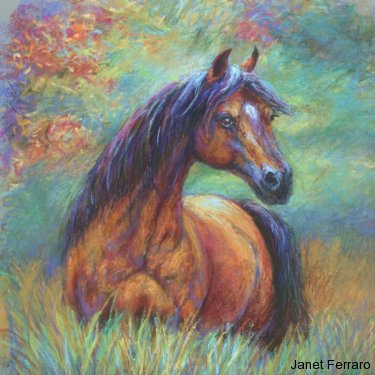 Pasture Enrapture Pasture Enrapture