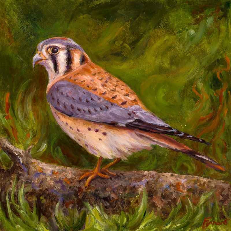 Kestrel