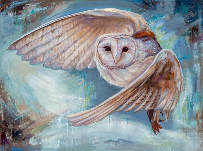 Soaring Wisdom