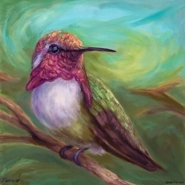 Humming Bird At Rest