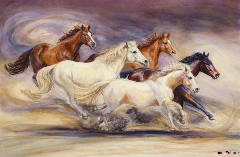 Rachel's Herd