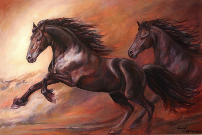 Majestic Freedom