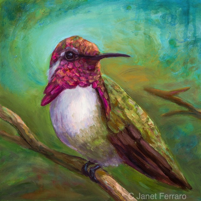 Resting Humming Bird ll