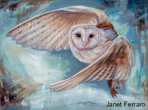 Soaring Wisdom