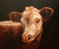 Gazing Cow