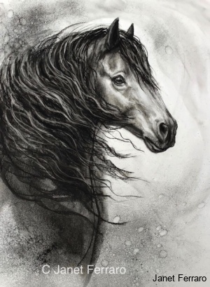 Equine Divine 3