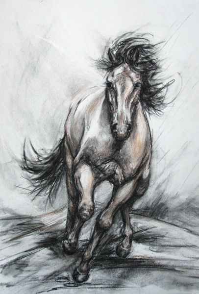 Galloping Steed