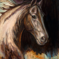 Equine Sublime