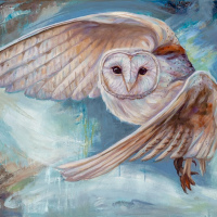 Wings Of Wisdom