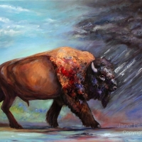 Buffalo Facing The Storm