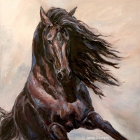 Equine Elation II