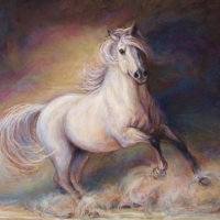 Equine-Sublime II