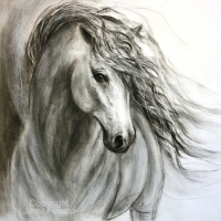 Equine Sublime