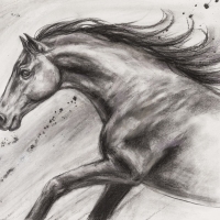 Free To Be