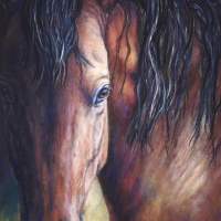 Gentle Gaze