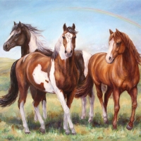Blaze, Preacher and Cheyanne