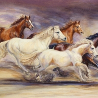 Rachel's Herd