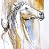 Equine Essence 10