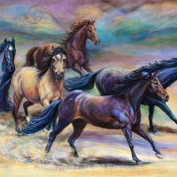 Jen's Herd
