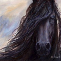Mane Attraction