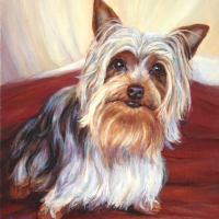 Marcello