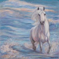 Sea Horse