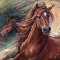 Wild Wind
