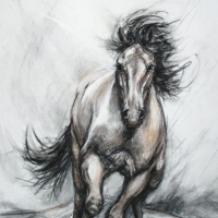 Galloping Steed