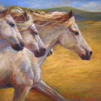 Galloping Gold
