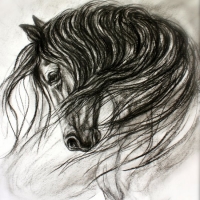 Mane Dance