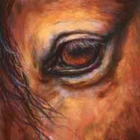 Gentle Gaze