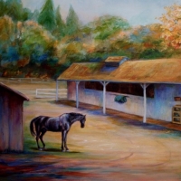 Rico at Quail Hollow Ranch, oil