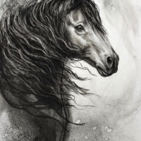 Equine Divine 3